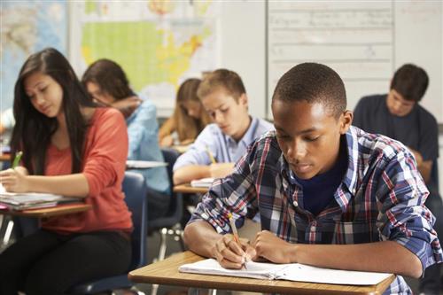In school Students 